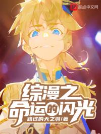 综漫之命运的闪光章节列表