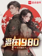 混在1980章节列表