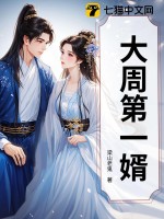 大周第一婿章节列表